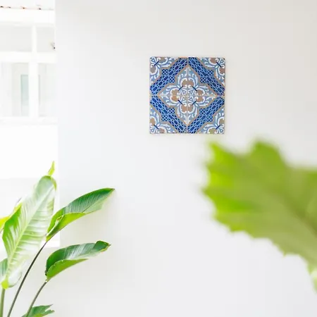 La Pigna Blu Anacapri (Isola di Capri)