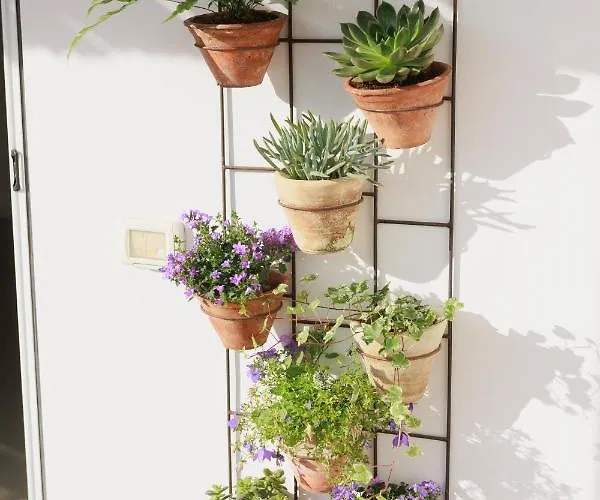 Frühstückspension La Pigna Blu 4*